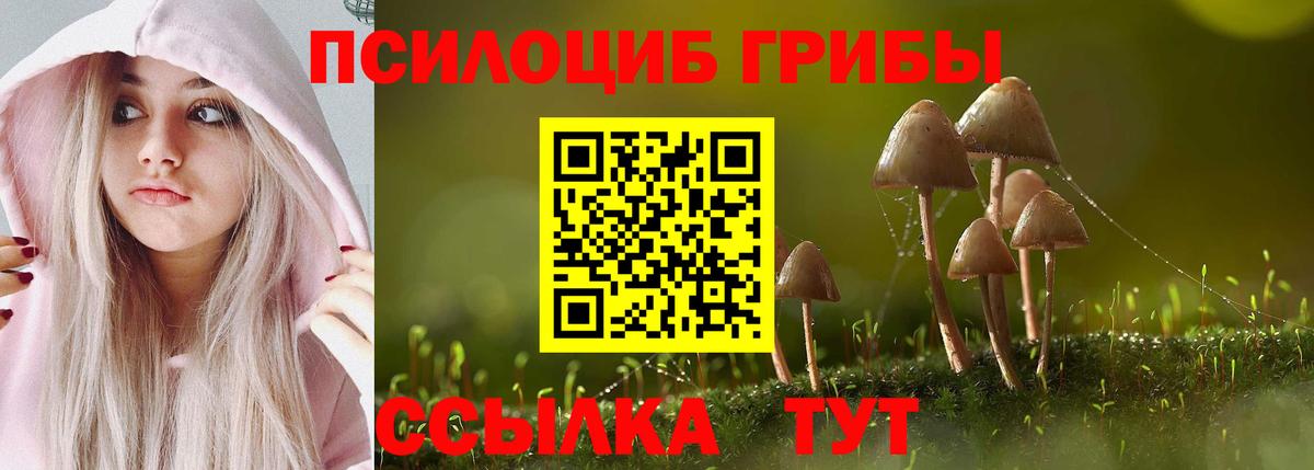 Псилоцибиновые грибы мухоморы Кузнецк