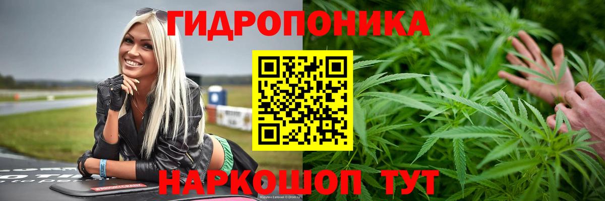 Шишки марихуана индика Кузнецк